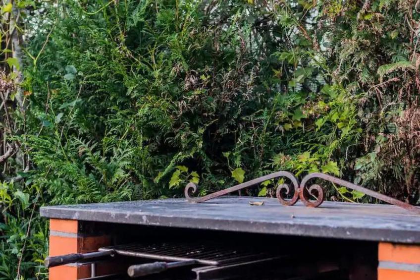 mit Garten, Grill und Terrasse - foto 40