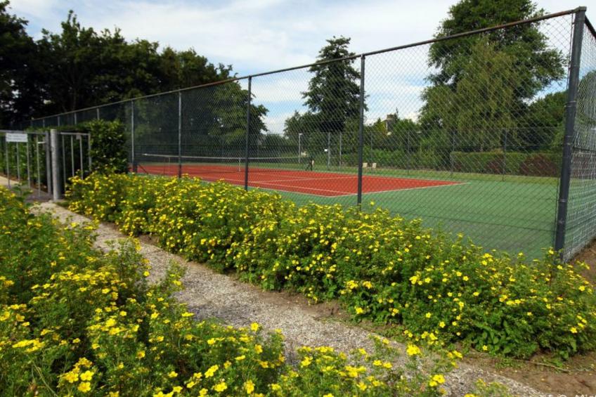 Seabreeze mit umzäuntem privatem Garten - foto 29