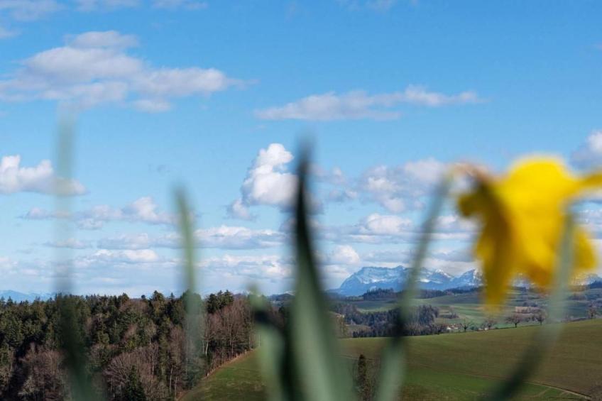Eggenhof Ferien - foto 14