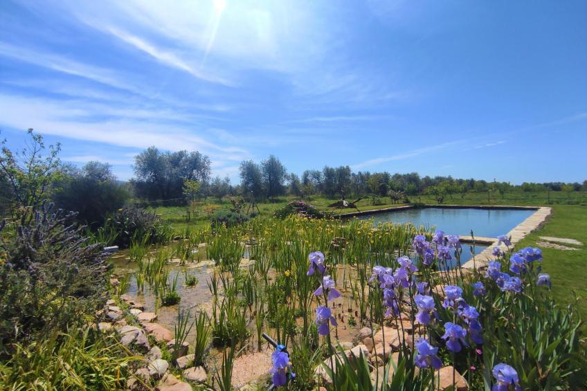 Agriturismo Podere Noé (ROC420) - foto 21