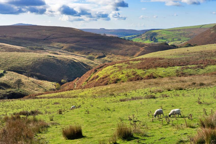 Blackclough Farmhouse at Blackclough Farm - foto 6