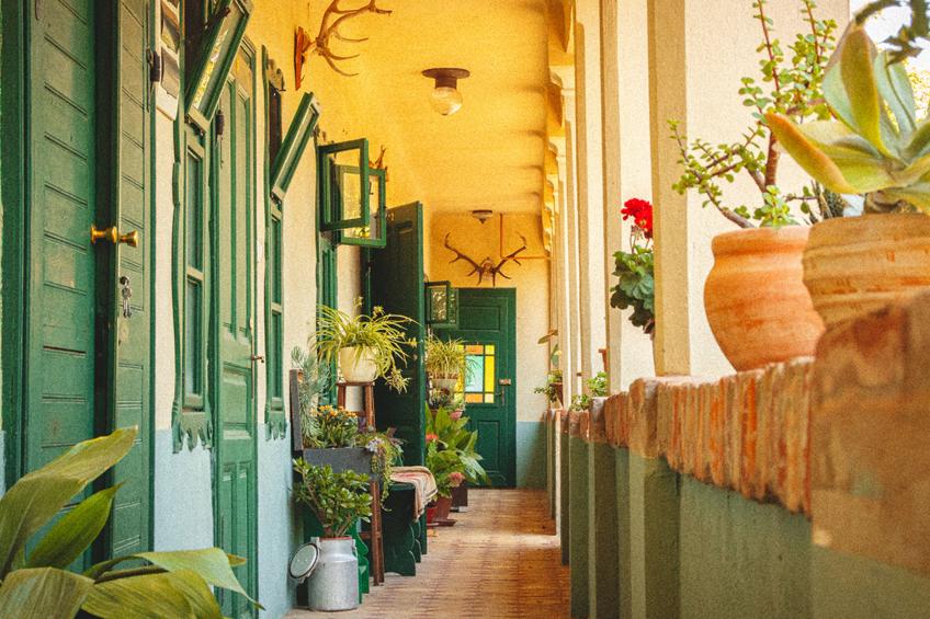 House Biljkinog oca - foto 2