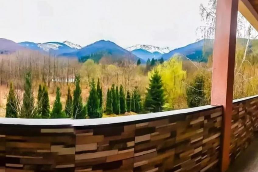 Vila Roberta Breaza Brasov - foto 6