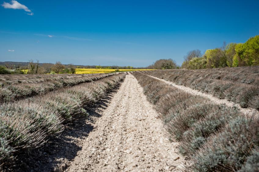 Gite la Bergerie - foto 30