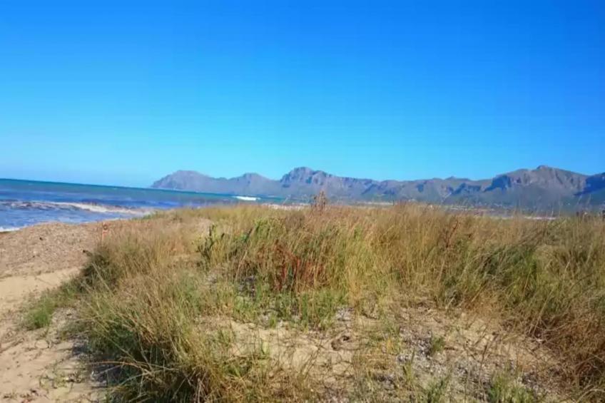 Sestanyol - foto 22