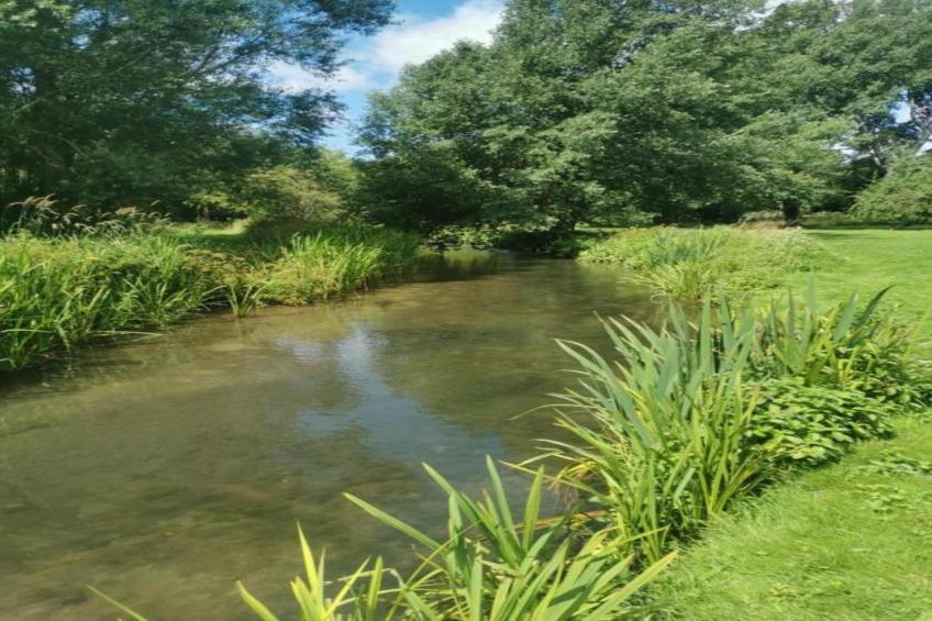 South Downs Lodge - foto 31