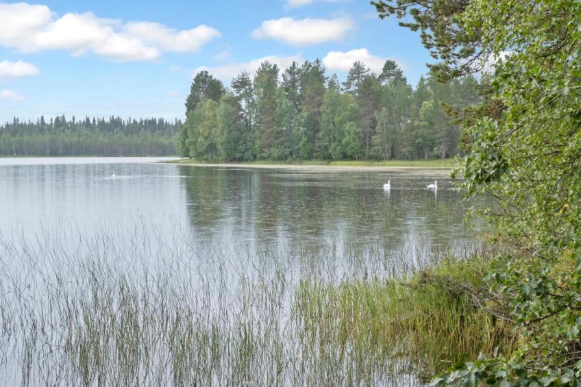 Lepokunnas - foto 23