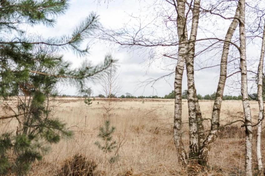 Resort De Heihorsten 5 - foto 30