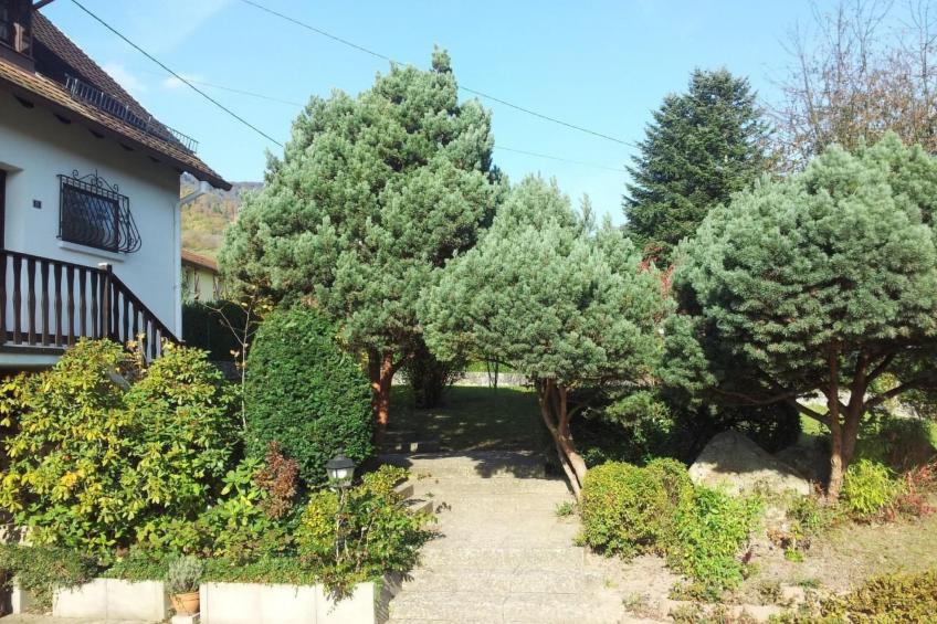 Bellevue mit Große Garten - foto 30