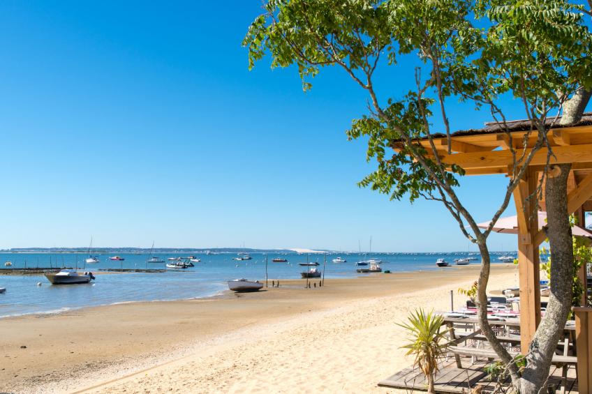 "Seepferdchen des Beckens" - foto 38