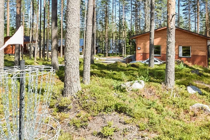 Lepovalkeinen - foto 2