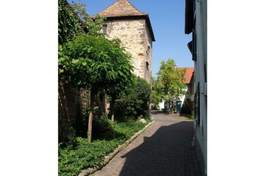 116611 - foto 37