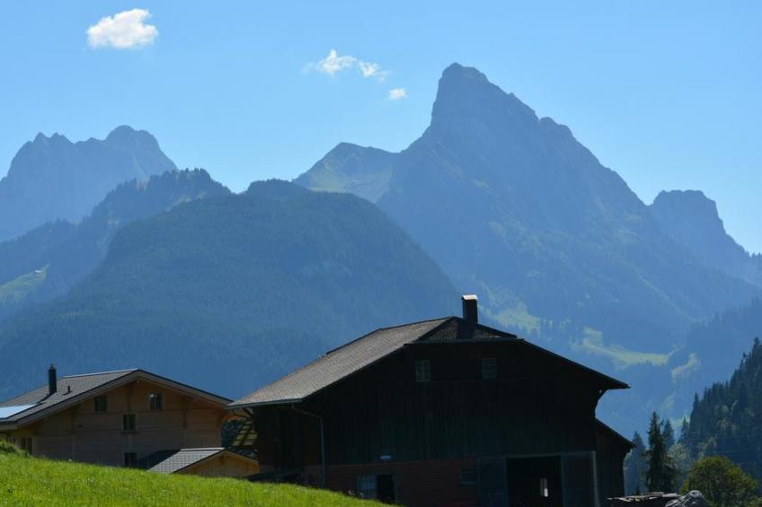 Anne (Hochparterre) - foto 5