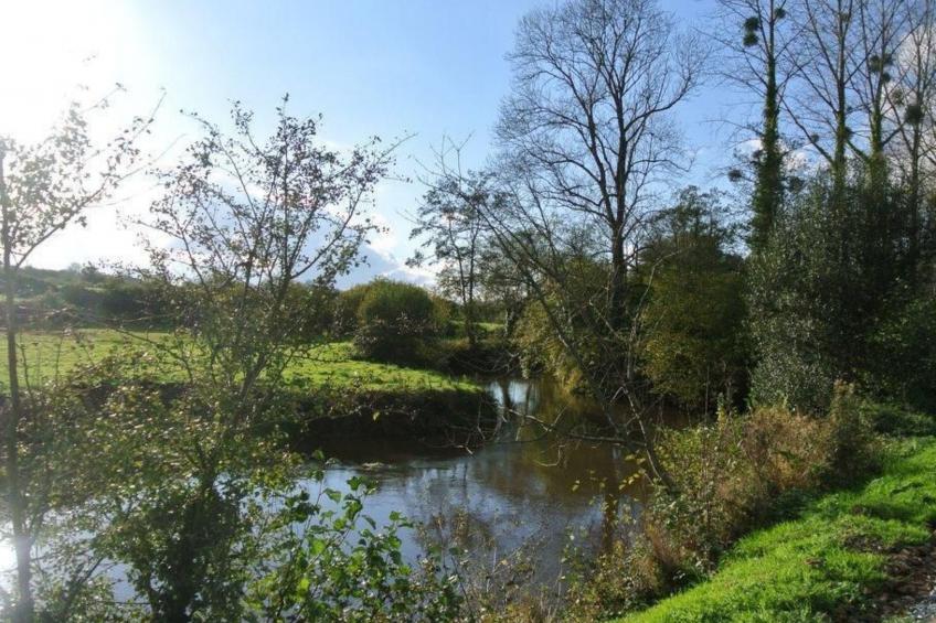 "Gîte de la Sienne" - foto 30