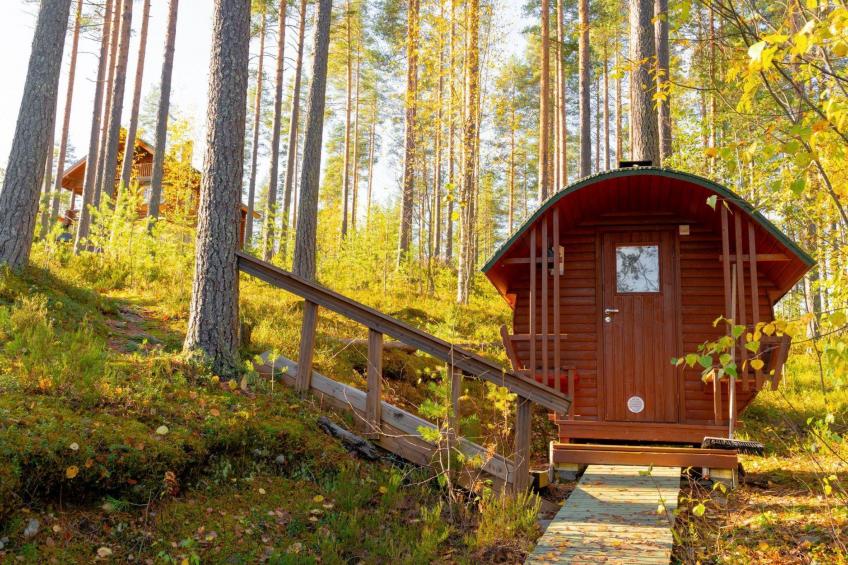 Villa tunturitervakko - foto 24