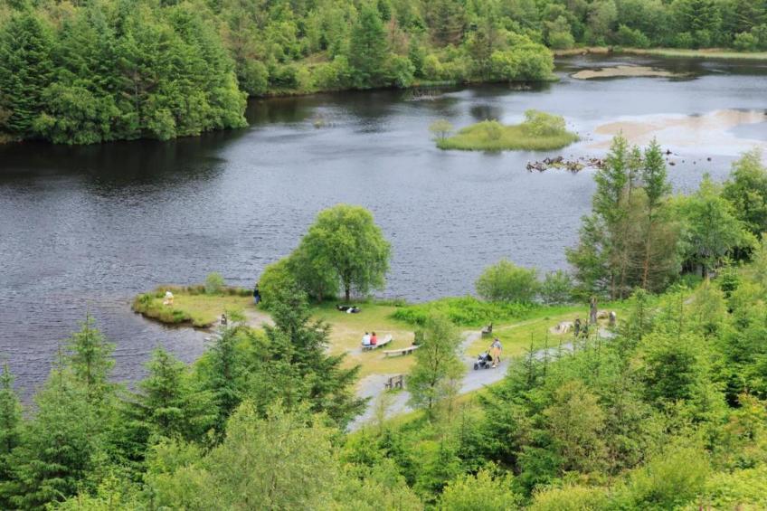 Brodawel - Field Cottage - foto 35