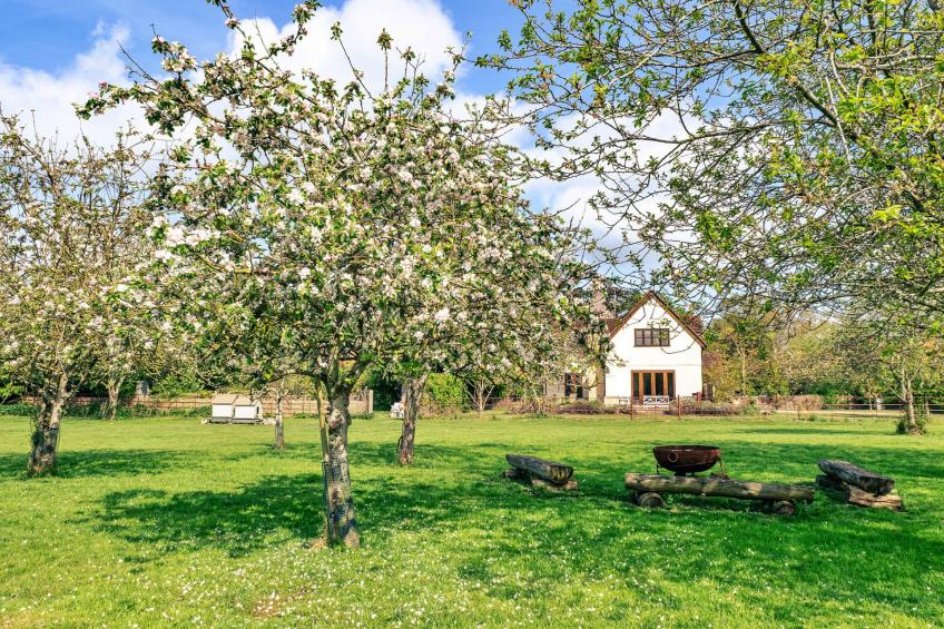 Windfall Cottage - foto 26