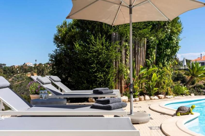 Duas Palmeiras - foto 52