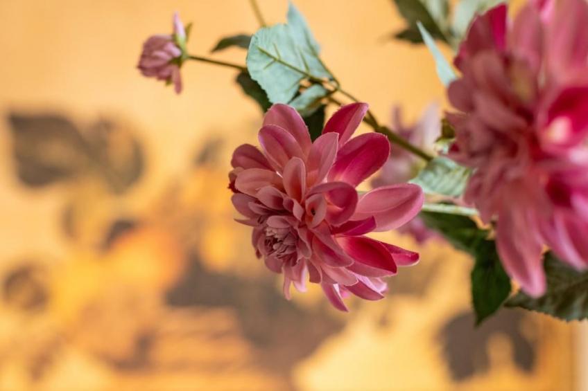 Charmante Wohnung in Marchesana mit Terrasse - foto 17