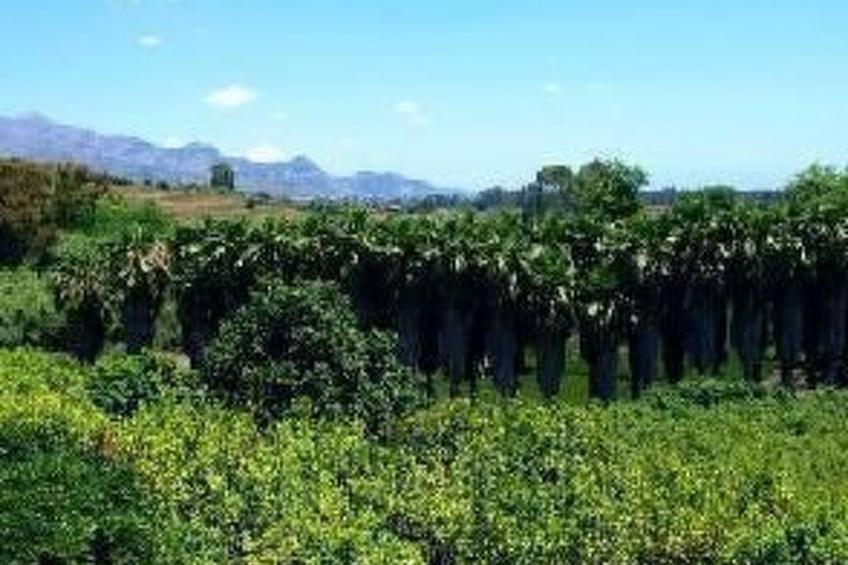 Wohnung mit Garten, Terrasse und Grill - foto 17