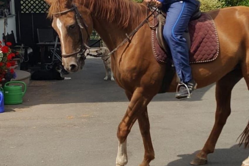 Scheunen Nest - foto 15