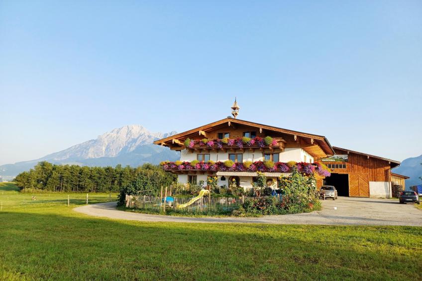 Ferienwohnung am Bio-Bauernhof - foto 23