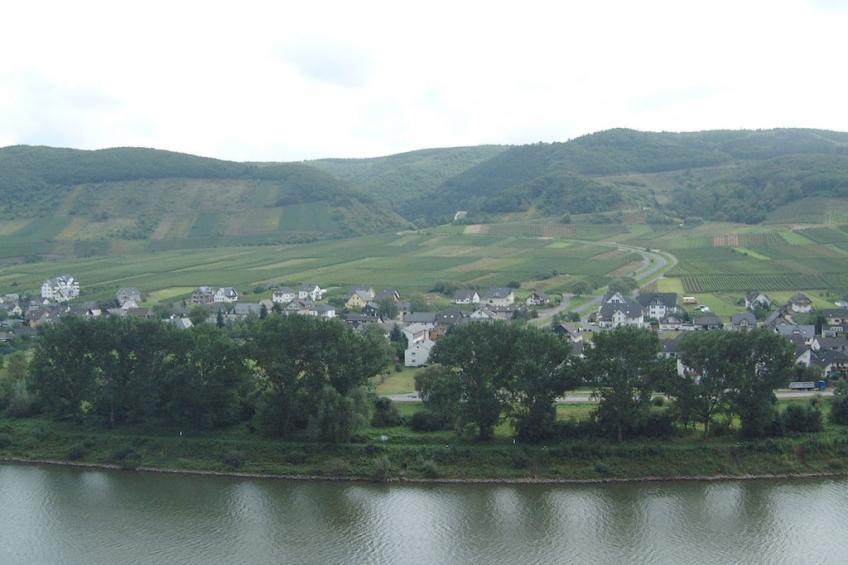 45218 - foto 16