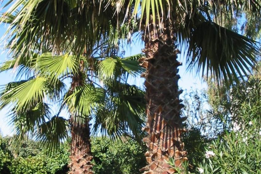 San Martino' Wohnung mit Privatparkplatz - foto 4