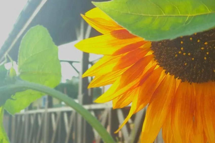 "Eko Domek" mit eigener Terrasse - foto 33