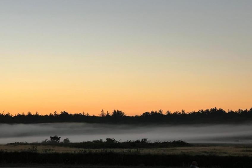 't Hoogelandt - foto 29