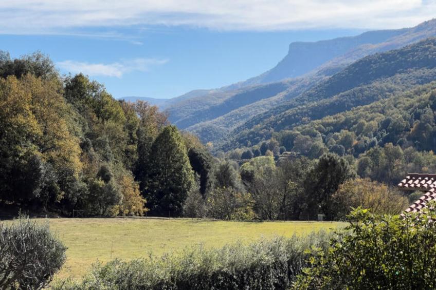 Mobil Home - Bungalow - Cottage à Sant Feliu de Pallerols - foto 45