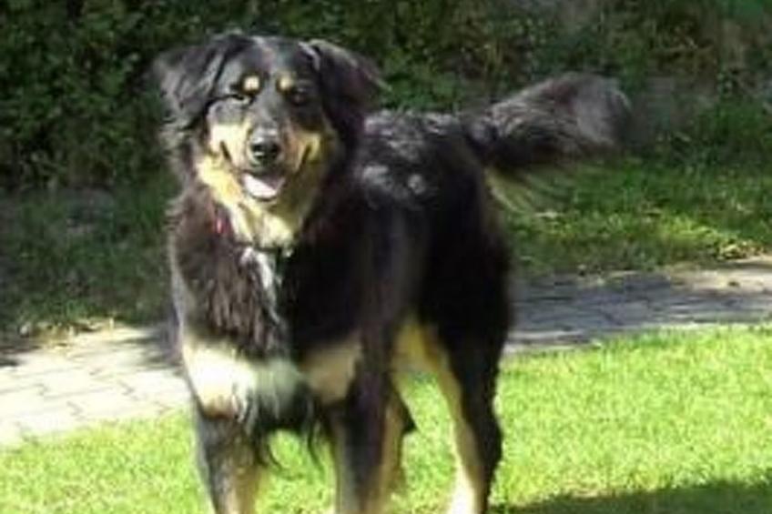 Schlossberg mit WLAN - foto 3