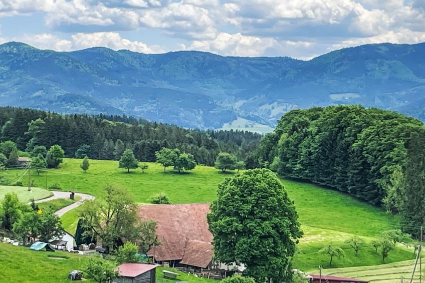 Panoramablick - foto 13