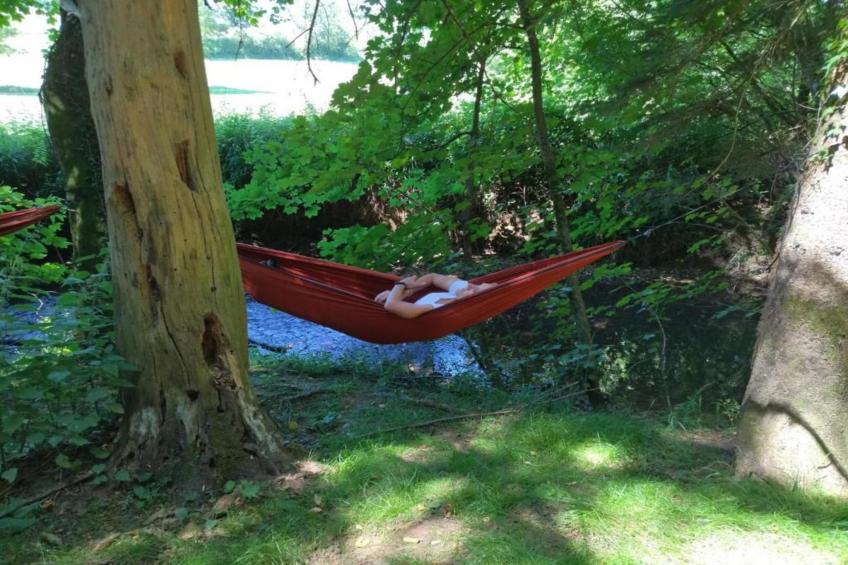 Dreamer 49 - foto 34