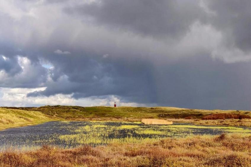 Kustpark Texel 7 - foto 39