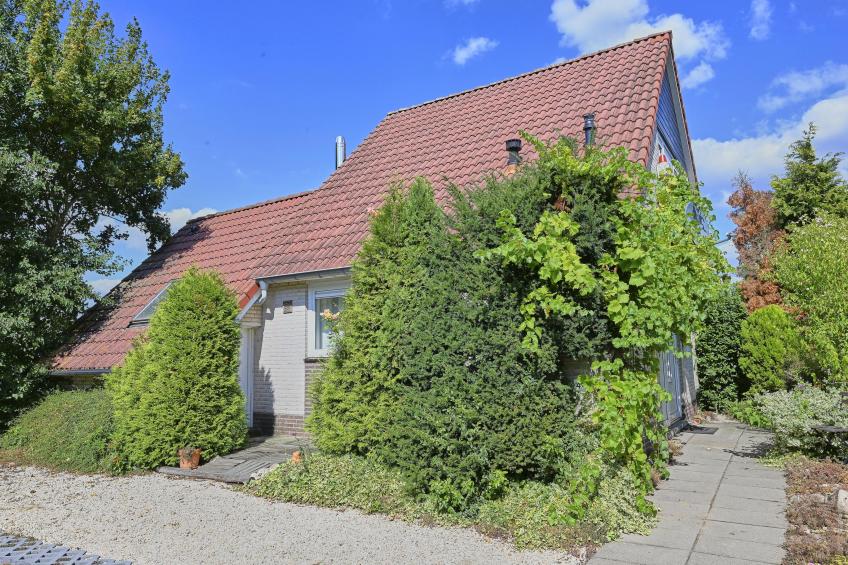 Aan de oever - foto 17