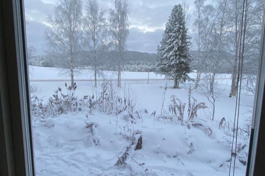 Schöne große "Villa Stolle" 9 Personen 2 Bäder - foto 38