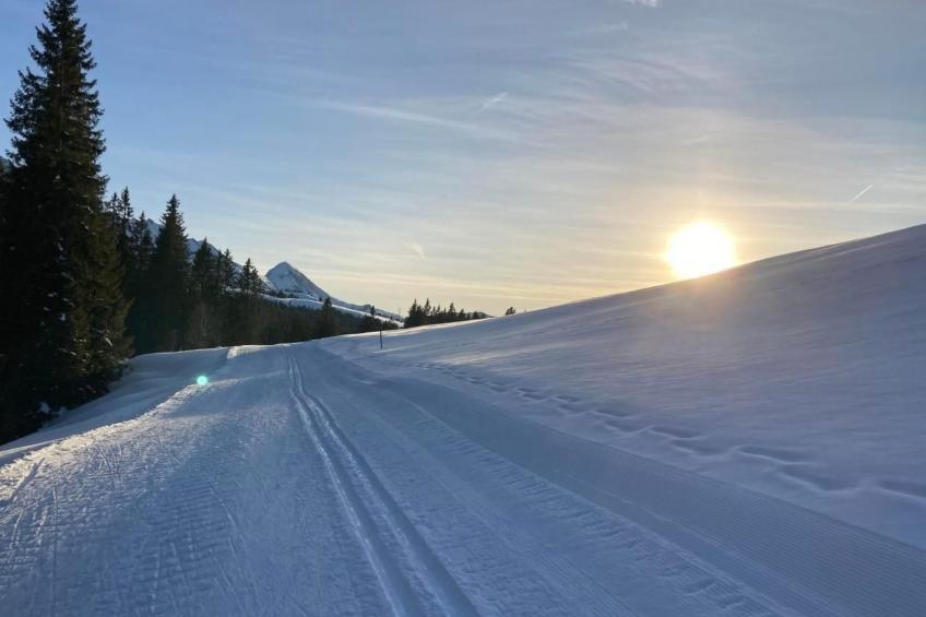 Rothornblick - foto 15