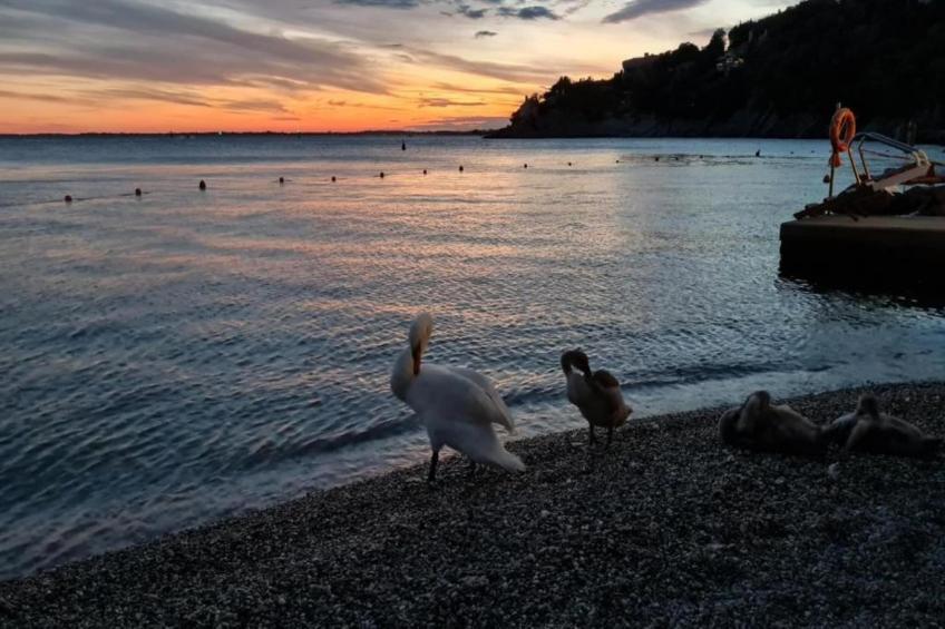 Les Balcons d'Auréa - foto 23