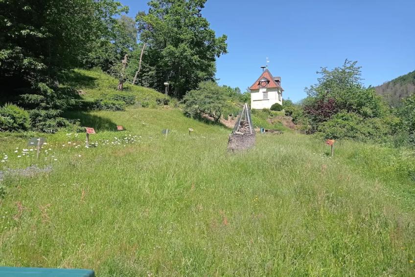 Vakantiehuis, Wieda - foto 20