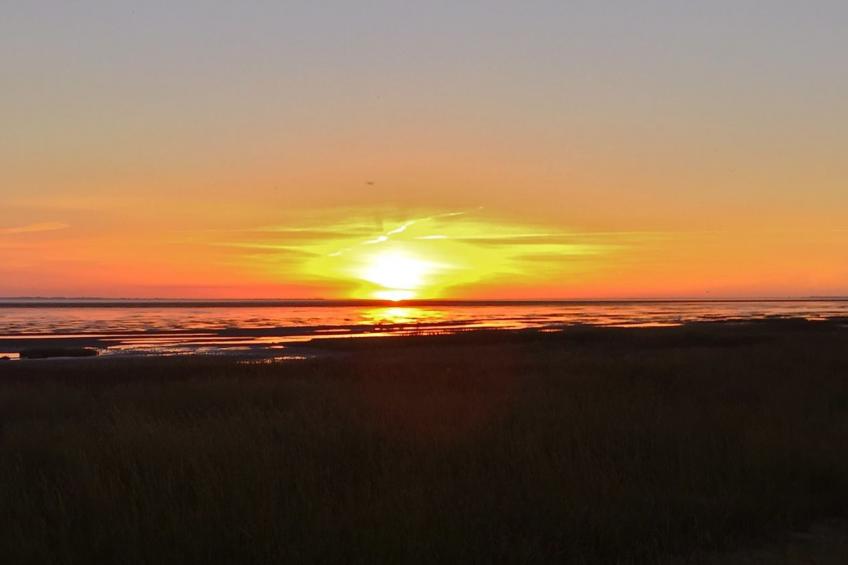 "Annagrete" - 12km from the sea in Western Jutland - foto 37