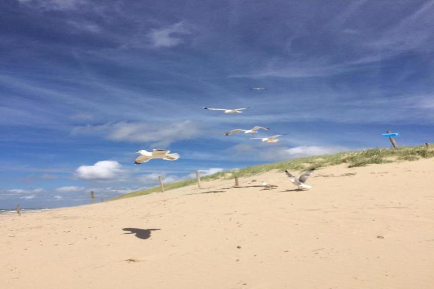 Strandslag 193 - foto 27