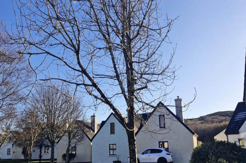 Maison à Clifden Galway - foto 28