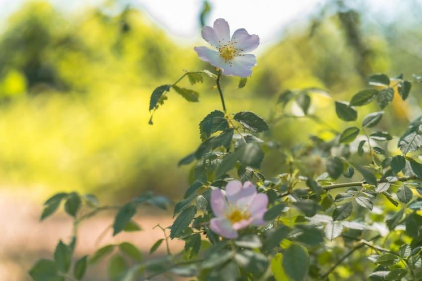 Strandblick|Strandblick - foto 38