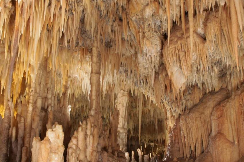 Flacher Rasen rechts - foto 25