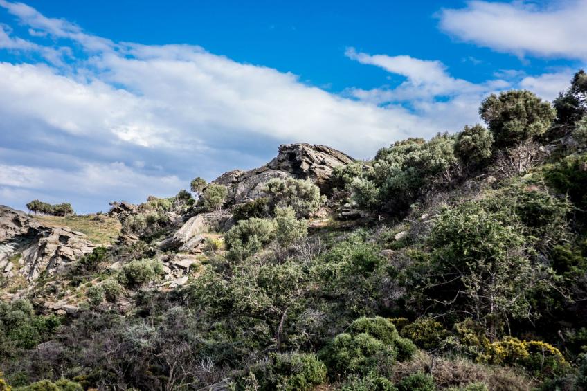 für 8 Personen in Agia Pelagia, Kreta - foto 39