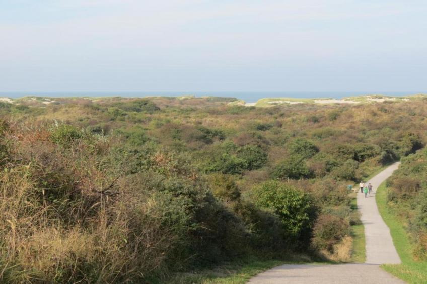 Jan van Renesseweg 1 - 2 pax - foto 40