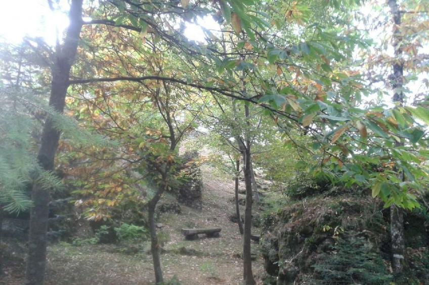 Natur und Entspannung, Villa im Park - foto 18