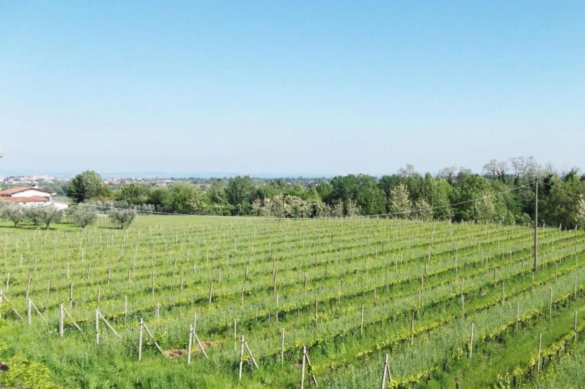 Villa Paradiso, 200 m² Ferienhaus - foto 25