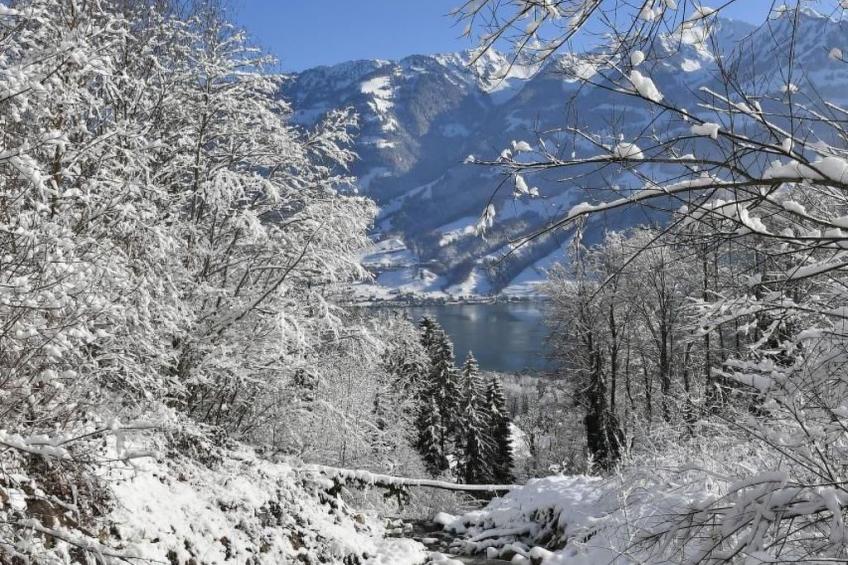 Holzhaus auf Lamahof - foto 45